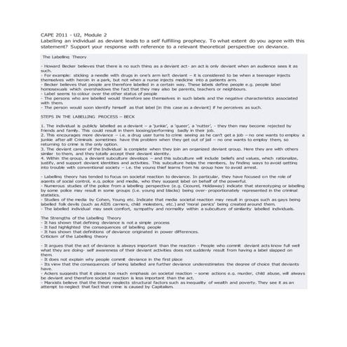 Cape 2011 u2 sociology