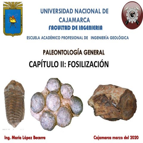 PALEONTOLOGIA fosilización 