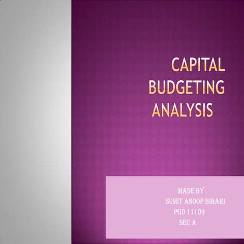 Capital budget