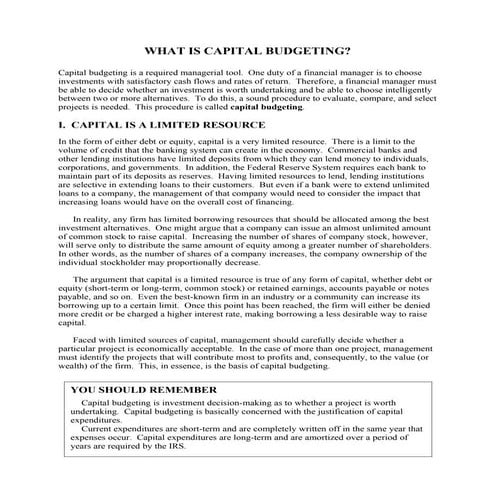 Advantage and disadvantages of the different capital budgeting ...