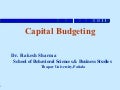 Capital budgeting