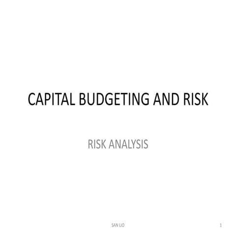 Capital budgeting and risk