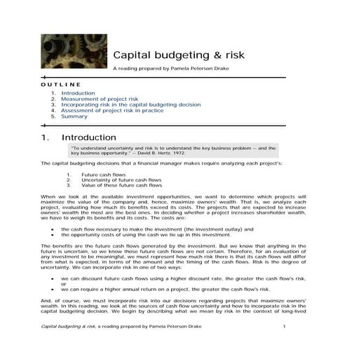 Capital budgeting and risk   ii