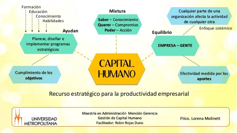 Capital Humano: Qué Es, Usos E Importancia – SYDT