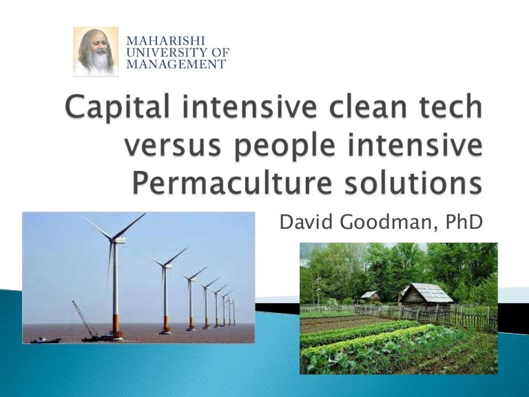 Capital Intensive Clean Tech and Micro-Financed Green Solutions: A Co…