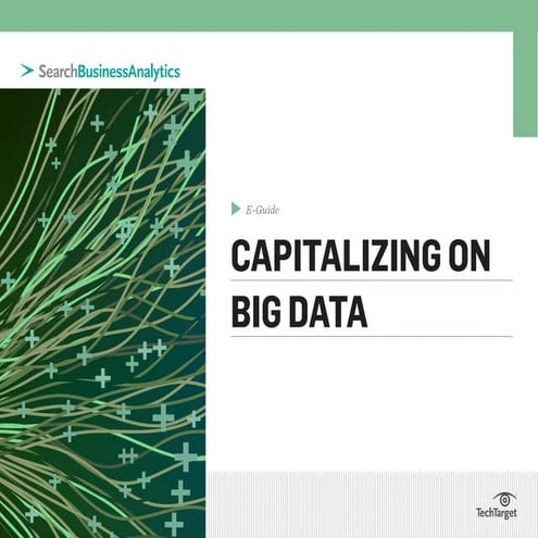 Capitalizing on Big Data