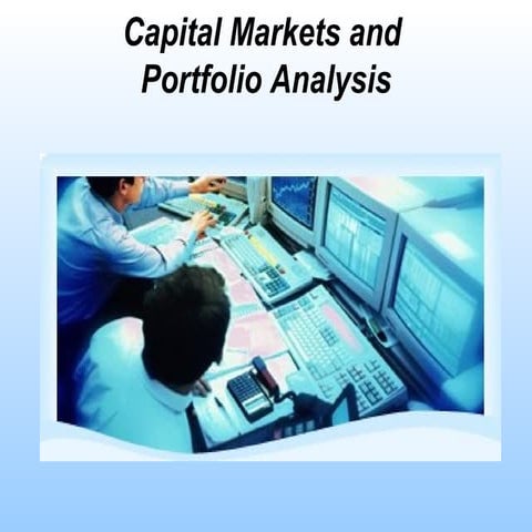 Capital markets and portfolio analysis