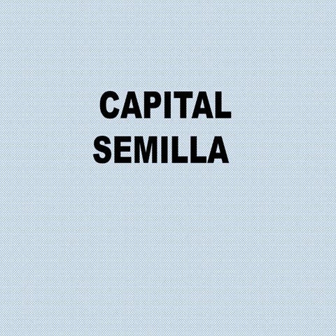 capital semilla-para-emprendiimiento.pptx