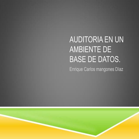 Capitulo 10 auditoria en base de datos