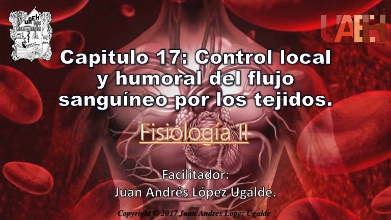 flujo sanguíneo deficiente disfunción eréctil flujo sanguíneo deficiente disfunción eréctil