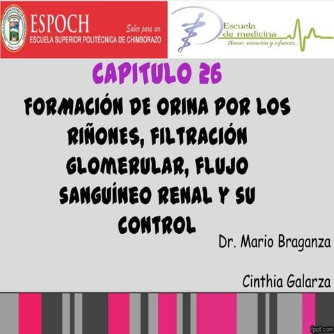 Capitulo 26  formación de orina.