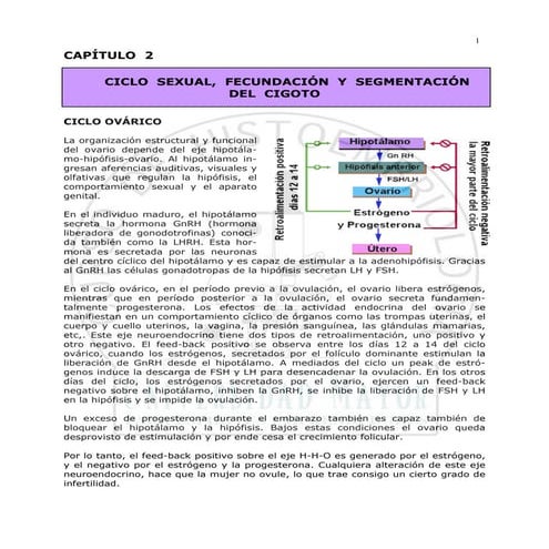 Capitulo 2 - Ciclo Sexual, Fecundacion, Segmentacion | PDF