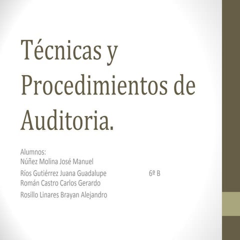 Técnicas y procedimientos de Auditoria | PDF