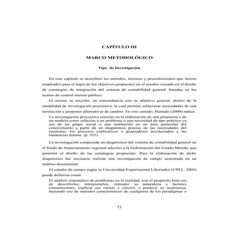 Capitulo iii | PDF