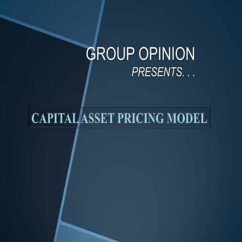 capital asset pricing model