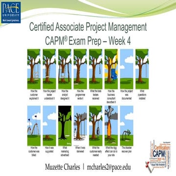 CAPM Week 4 Chapter 10