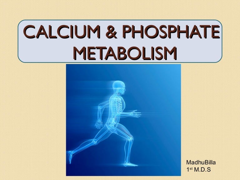 Calcium and Phosphorous Metabolism