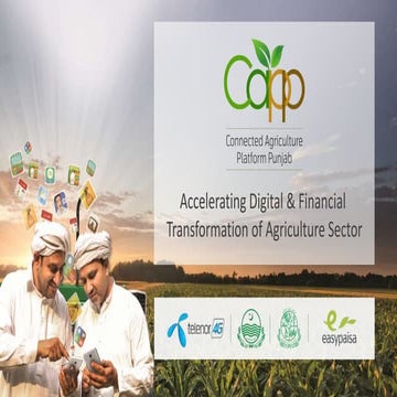 M-Agri Program in Punjab | PPTX
