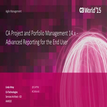 CA Project and Portfolio Management 14.x - Advanced Reporting for the End User