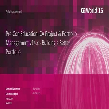 CA Project and Portfolio Management v14.x - Building a Better Portfolio