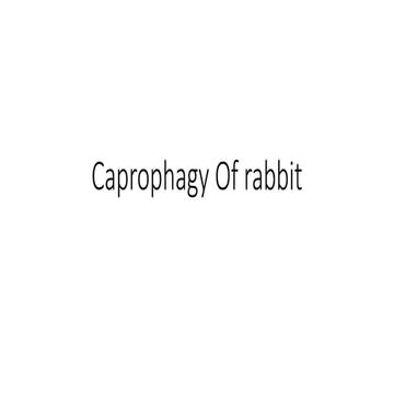 Understanding Caprophagy and Caecotrophy in Rabbit Nutrition | PPTX