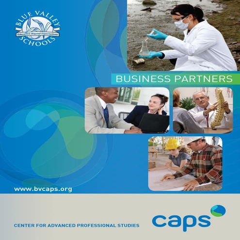 CAPS Business Partners - March 2011 | PDF