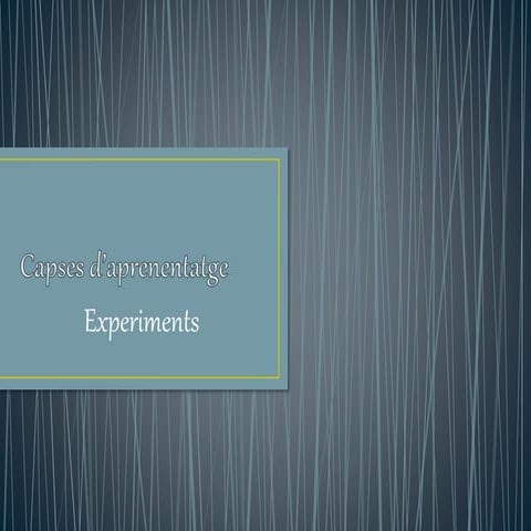 Capses d'aprenentatge | PPTX
