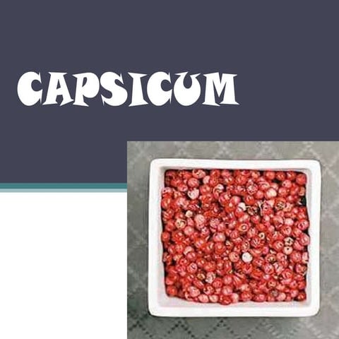 Capsicum