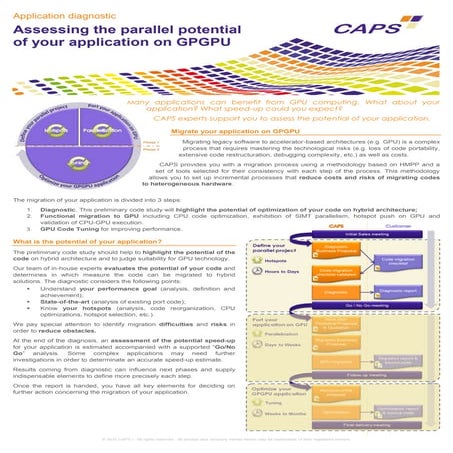 Caps Professional Services Diagnostic