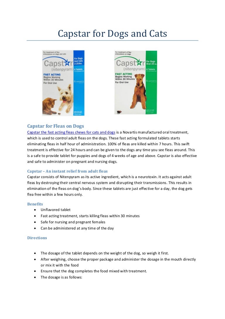 capstar pregnant cat