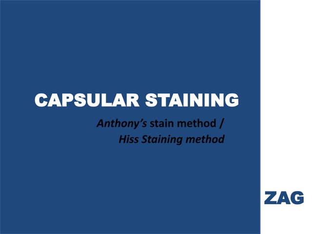 Capsular Staining - 1
