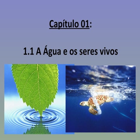 Capítulo 01 a água e os seres vivos | PPT