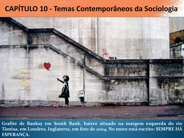 Capítulo 10 - Temas Contemporâneos ...