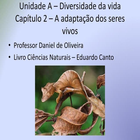 Capítulo 2   a adaptação dos seres vivos