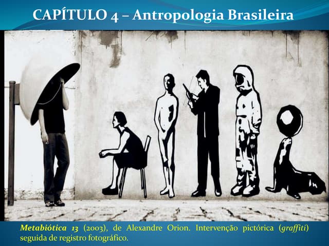 Capítulo 4 - Antropologia Brasileira