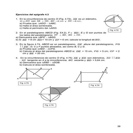 Capítulo 4  (pp. 294 339) word