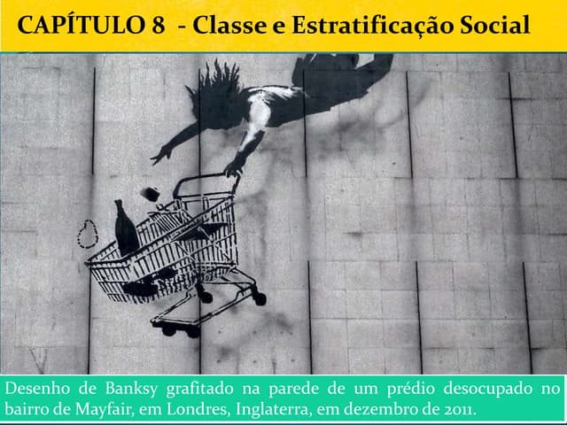 Capítulo 8 - Classe e Estratificaçã...