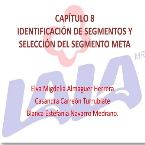 Capítulo 8   identificación de segmentos y selección del segmento meta