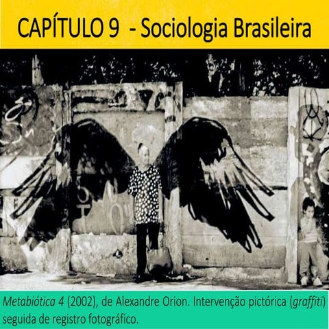 Capítulo 9 - Sociologia Brasileira
