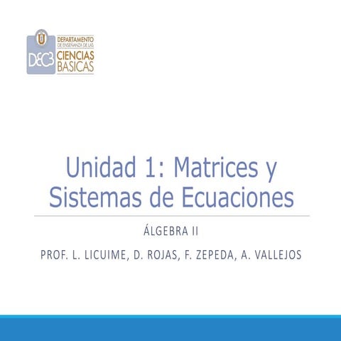 Presentacion Matrices | PPTX