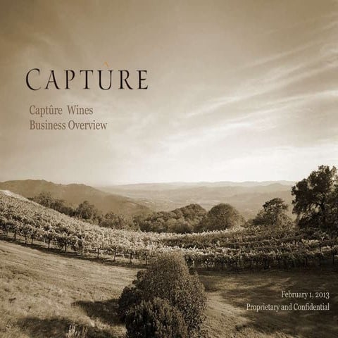 Captûre Business Overview 2013