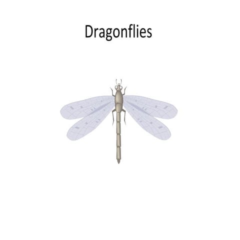 Capturing Evidential Data –