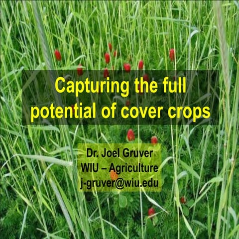Capturing the full potential of cover crops