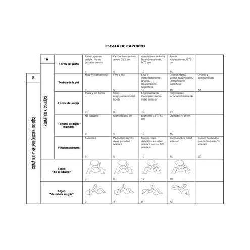 Capurro Escala.pdf