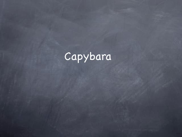 Capybara