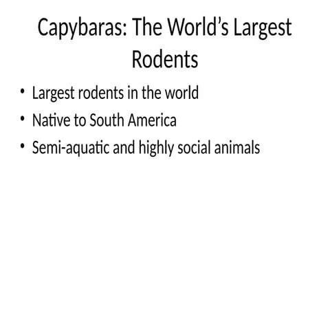 Capybaras_The_Worlds_Largest_Rodents.pptx
