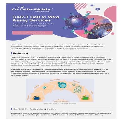 CAR-T Cell In Vitro Assay | PDF