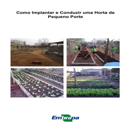 Como Implantar e Conduzir uma Horta de Pequeno Porte