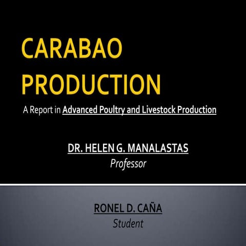 Carabao production