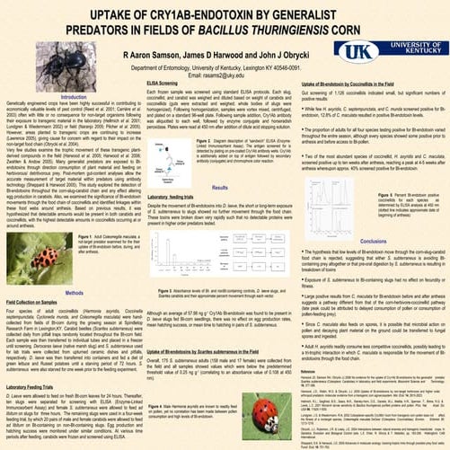 Carabid And Ladybird Bt Poster